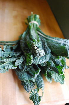 cavolo nero 03 some rights reserved.jpg